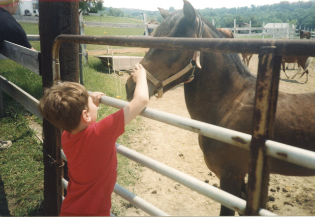 Photos of Ponies